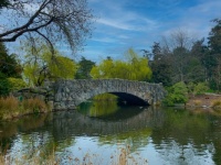 The old stone bridge in Beacon Hill Park