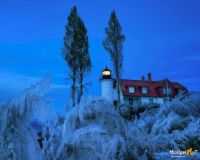 "The darker stage of twilight" Icy trees at Point Betsie Lighthouse.