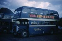 BALFRON BUS c1960