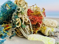 Washed ashore