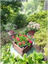 At my sister's   -   U sestry