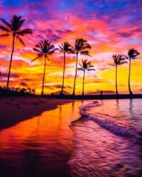 Sunset beach 1