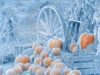 icy pumpkins