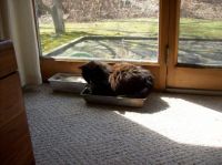 Sun baking