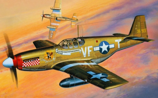 Solve P-51B Mustang ‘Shangri-La’ jigsaw puzzle online with 273 pieces