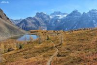 mount-fay-Banff-Larch-Valley-ten-peaks