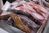 Menorca - Ciutadella - Fischmarkt