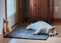 Mabel napping ZzZzZz Sweet Dreams