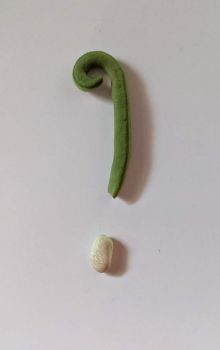 Solve Two beans or not two beans? That is the question jigsaw puzzle ...
