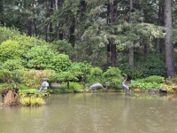 Raindrops Falling on the Pond  (sizes 12 - 594)