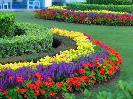 Gorgeous Floral Landscaping