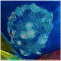 'Skyward' Sculpture Collage-10
