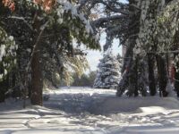 snow scene near PSUC