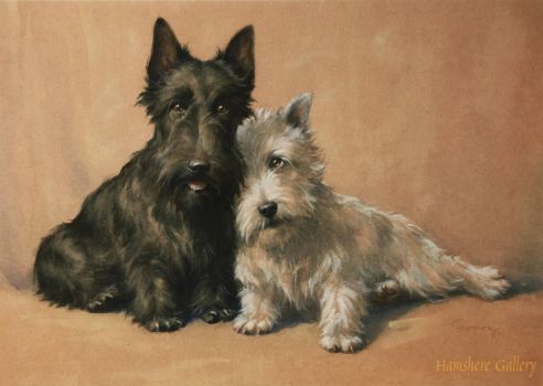 Two Lovely Scotties (Aberdeen Terriers)