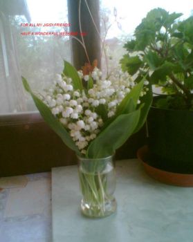 Lily of the valley from Max's garden to all friends :-)))