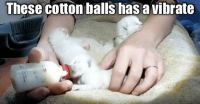 These cotton balls has a vibrate