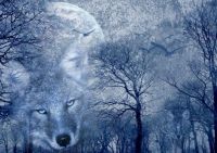 wolf-svetlana-sewell