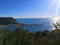 The sea