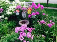 Sandy's beautiful garden