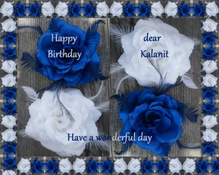 Happy Birthday dear Kalanit (Clntred)