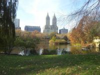 Fall in Central Park... extra large