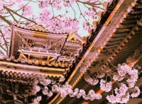 Spring Palace (Heian Jingu Shrine)