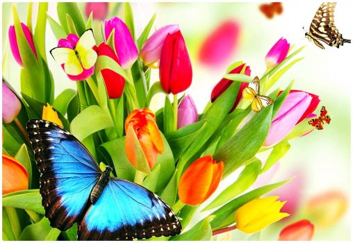 Solve Butterflies and Tulips jigsaw puzzle online with 294 pieces