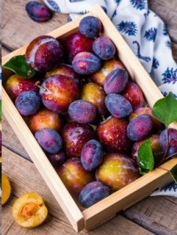 Box of Plums