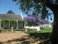 Vergenoegd Wine Estate, SA
