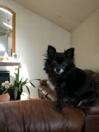 My Buddy