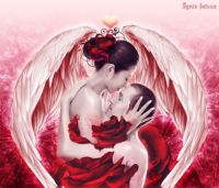 wings of love 