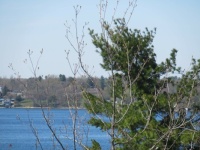 A View of the St. Lawrence River