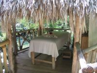 Anyone for a massage?