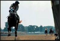 Secretariat at the Belmont Stakes : 50 years ago today (June 9th), or tomorrow (Belmont Day).