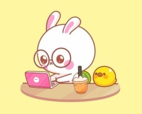 Cute Rabbit With Duck Working Laptop