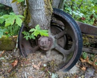 Nature vs machine