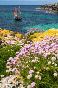 Isle of Mull, Inner Hebrides, Scotland