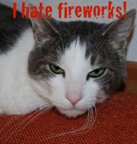 Rebob hates fireworks!