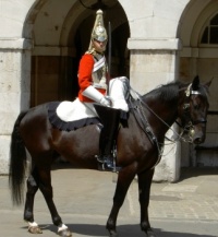 King's Horse Guard