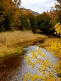 Beaver Creek in Arizona