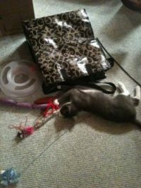 Daisy and her mess!
