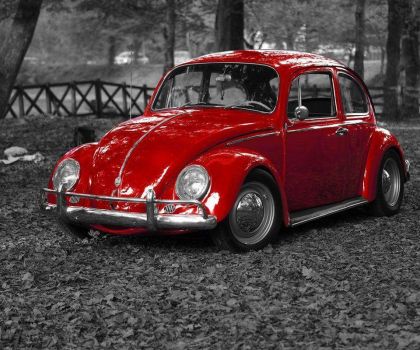 Red Old Beetle