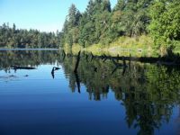 Quiet reflection: Sequalitchew Lake 