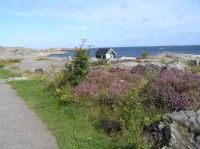 Island in the sun