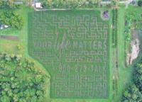 Corn Maze Message