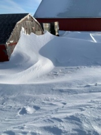 Snow in Iowa 1-2023