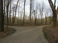 Which Path?