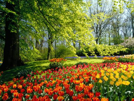 sunny colorful park