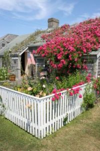 Rose covered cottage, by Massachusetts Office of Travel & Tourism