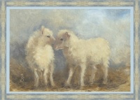 Wooly Twins Newborn Lambs